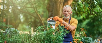 Cheerful middle aged caucasian man watering plants Cheerful middle aged caucasian man watering blooming plants with steel watering can in sunny garden. Gardening concept. Small business